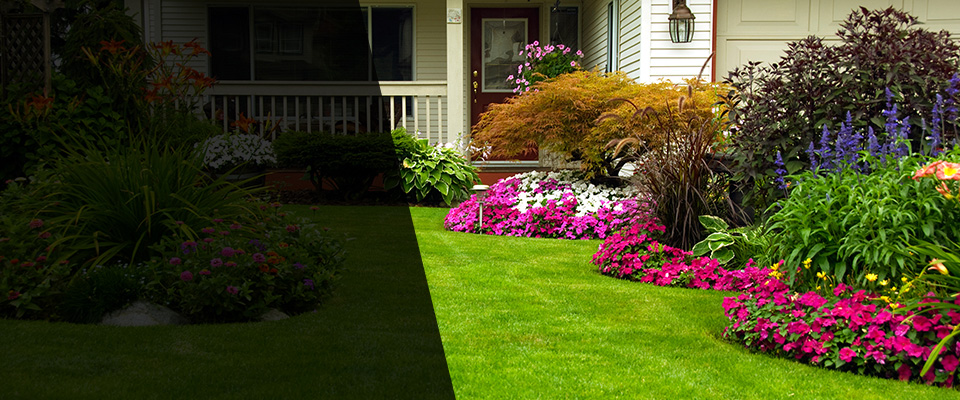 Braddock Landscapers
