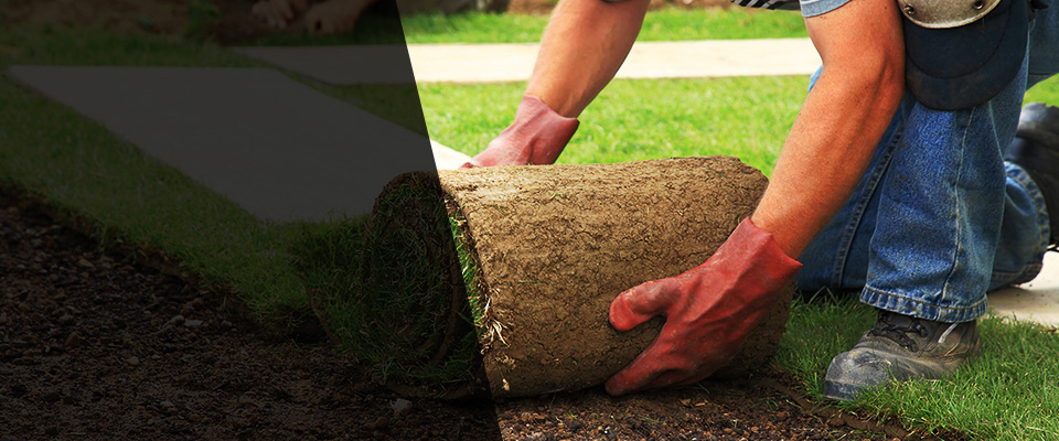 Braddock Landscapers